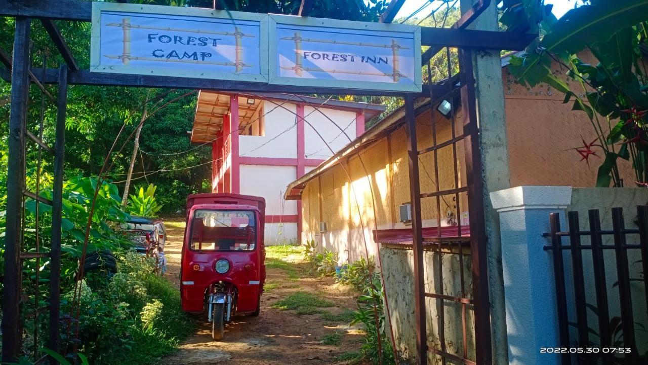 Forest Inn El Nido Exterior foto